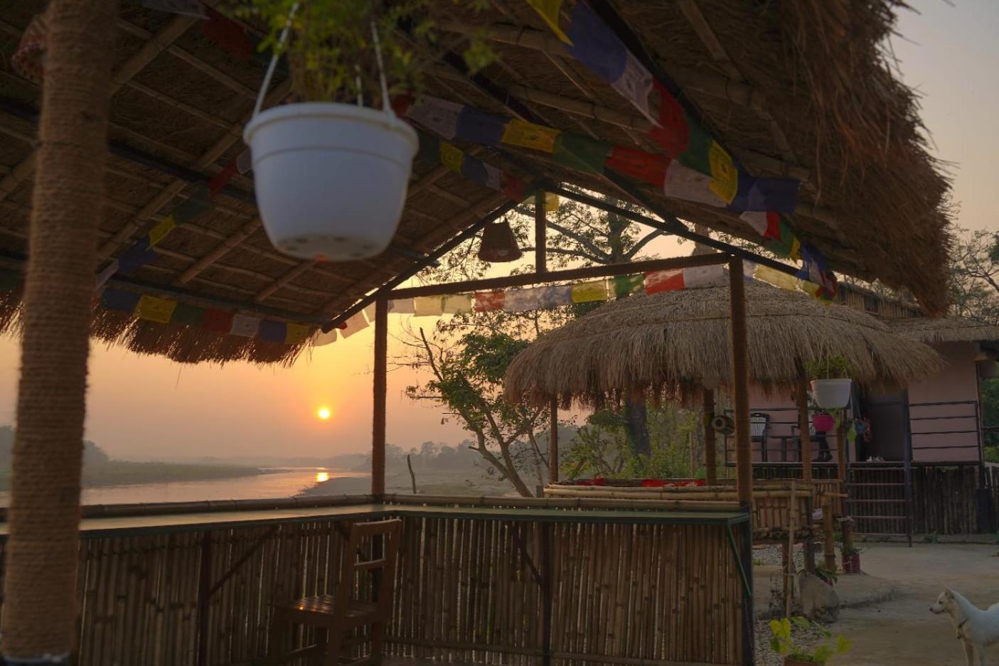 Bamby Chilling House - Feel The Nature Sauraha Εξωτερικό φωτογραφία