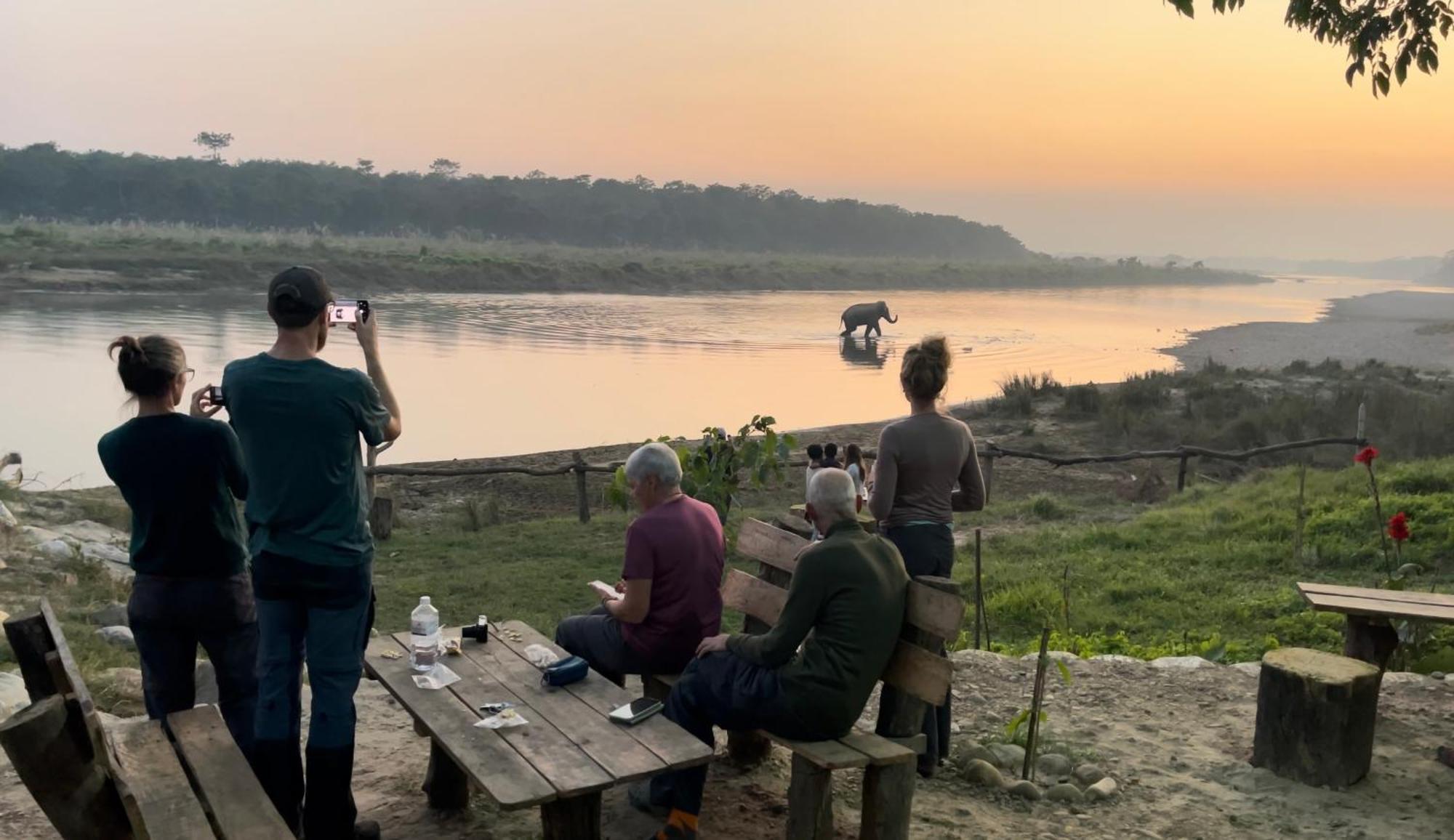 Bamby Chilling House - Feel The Nature Sauraha Εξωτερικό φωτογραφία