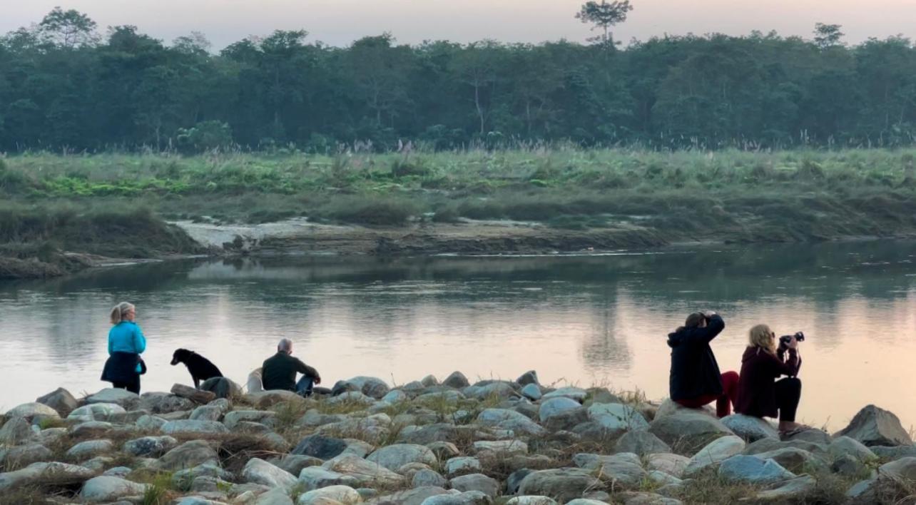 Bamby Chilling House - Feel The Nature Sauraha Εξωτερικό φωτογραφία