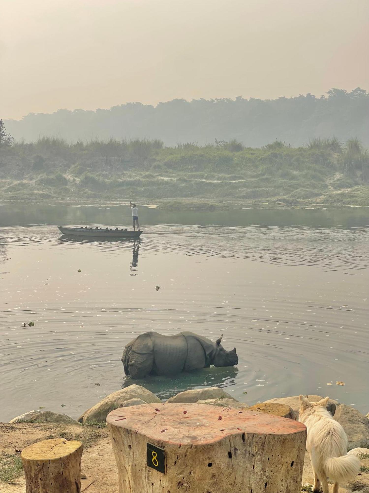 Bamby Chilling House - Feel The Nature Sauraha Εξωτερικό φωτογραφία