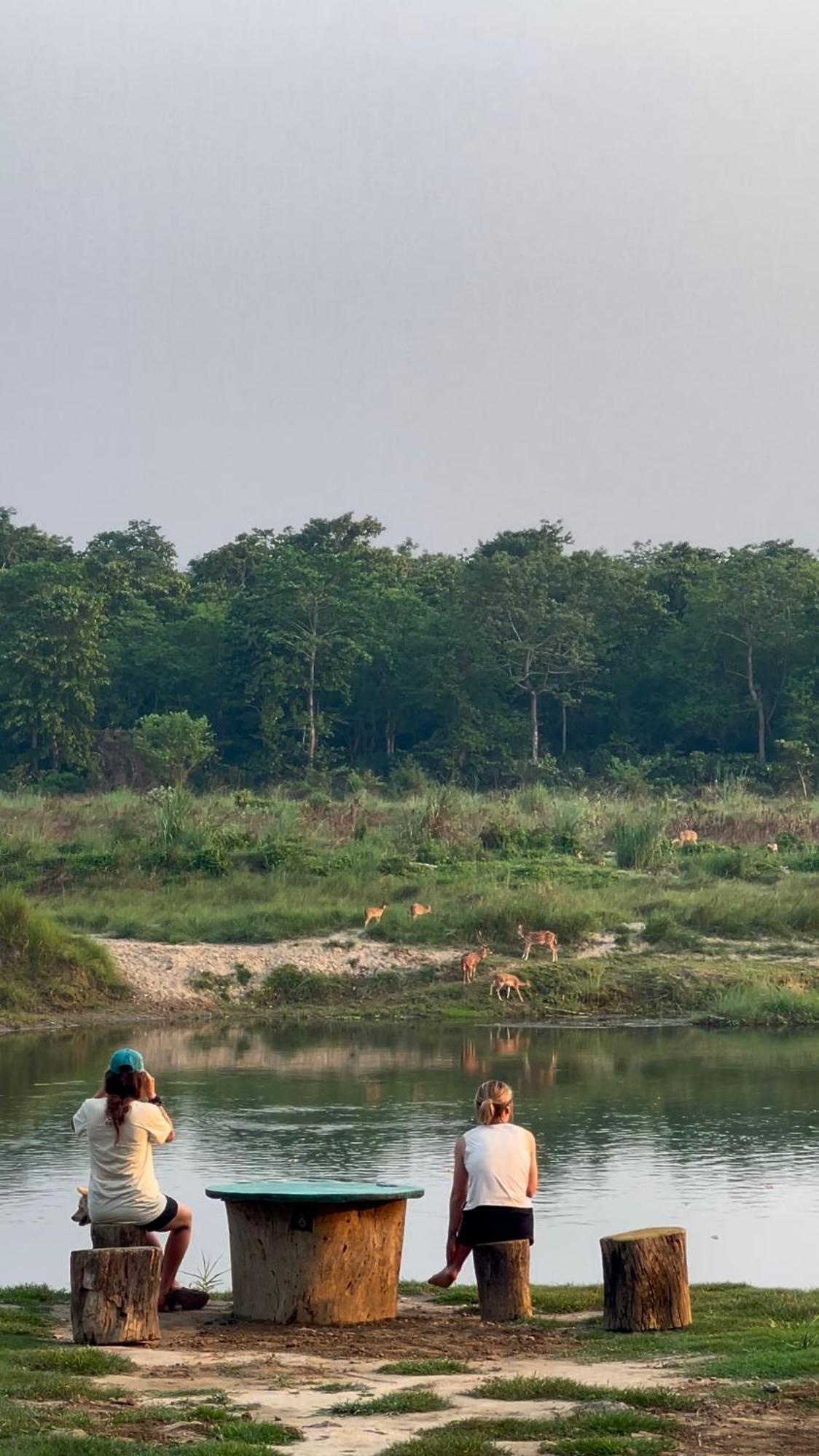Bamby Chilling House - Feel The Nature Sauraha Εξωτερικό φωτογραφία